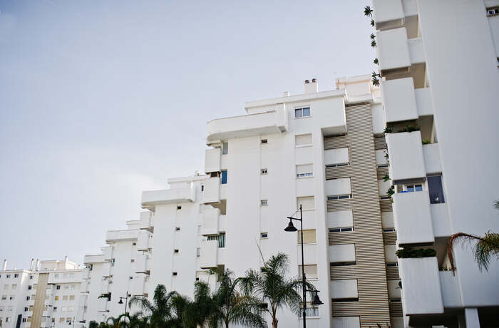 White apartment blocks next to palm trees on the Alicante coast