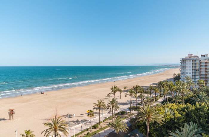 Sandy beach and palm-lined promenade on the Alicante coast