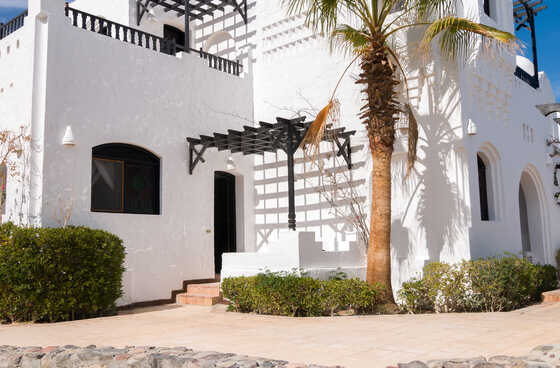 Mediterranean-style home with a white façade and palm tree on the Costa Blanca
